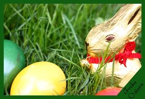 © S.Hainz / PIXELIO